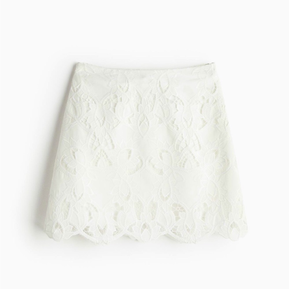 H&M Skirt with Eyelet Embroidery size 14